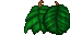 some leaves