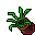 flower pot