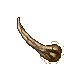 bone
