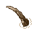 bone
