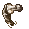 bone