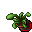 flower pot