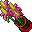 flower pot