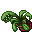 flower pot