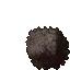 blackened hedge