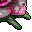 foul flower