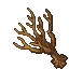 dry solstice tree