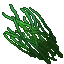 high grass