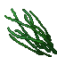 high grass