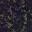purple soil