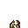 verminous liana