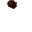 insectoid pore