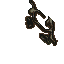 putrid growth