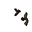 putrid growth