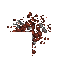 debris