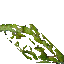mossy wall