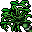 bamboo plant