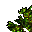 giant tree
