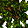 giant tree