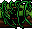 mossy fallen tree