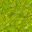 swamp