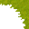 swamp