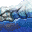 shallow water