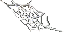 spider web