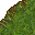 grass
