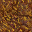 dried grass