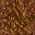 dried grass