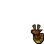 Deer Trophy